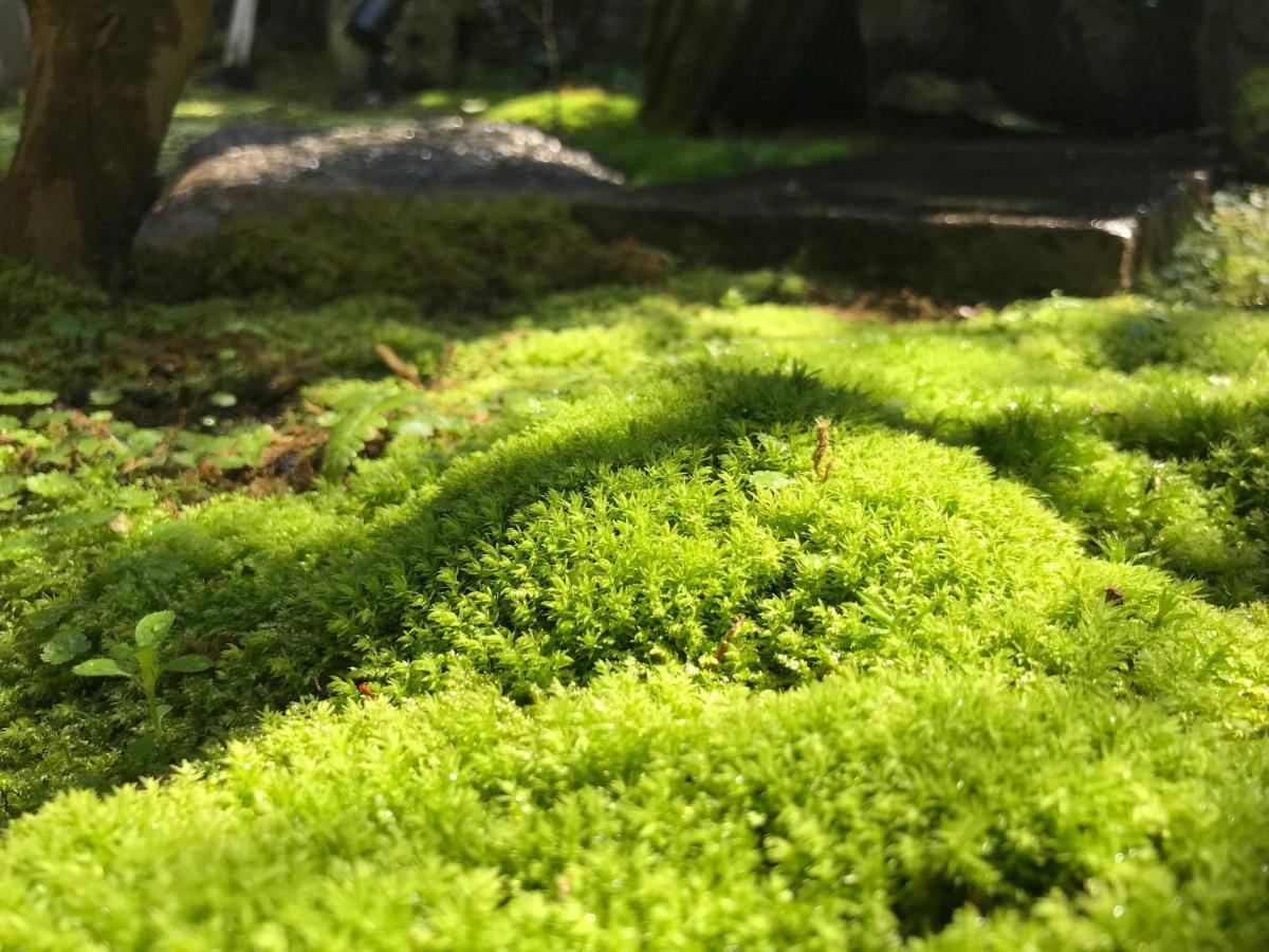 Kominka Mitsuhama Ryokan Matsuyama  Exteriör bild
